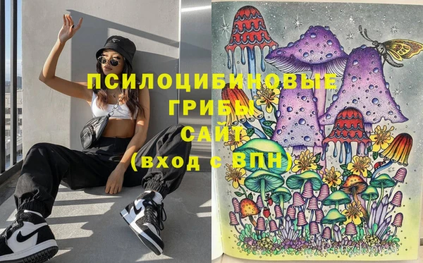 бутират Новодвинск