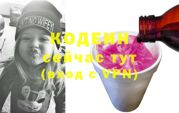 прущие грибы Алагир