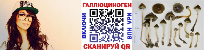 Псилоцибиновые грибы MAGIC MUSHROOMS  Мытищи 